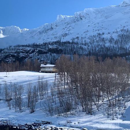 הוילה Cabin In Jokelfjord מראה חיצוני תמונה