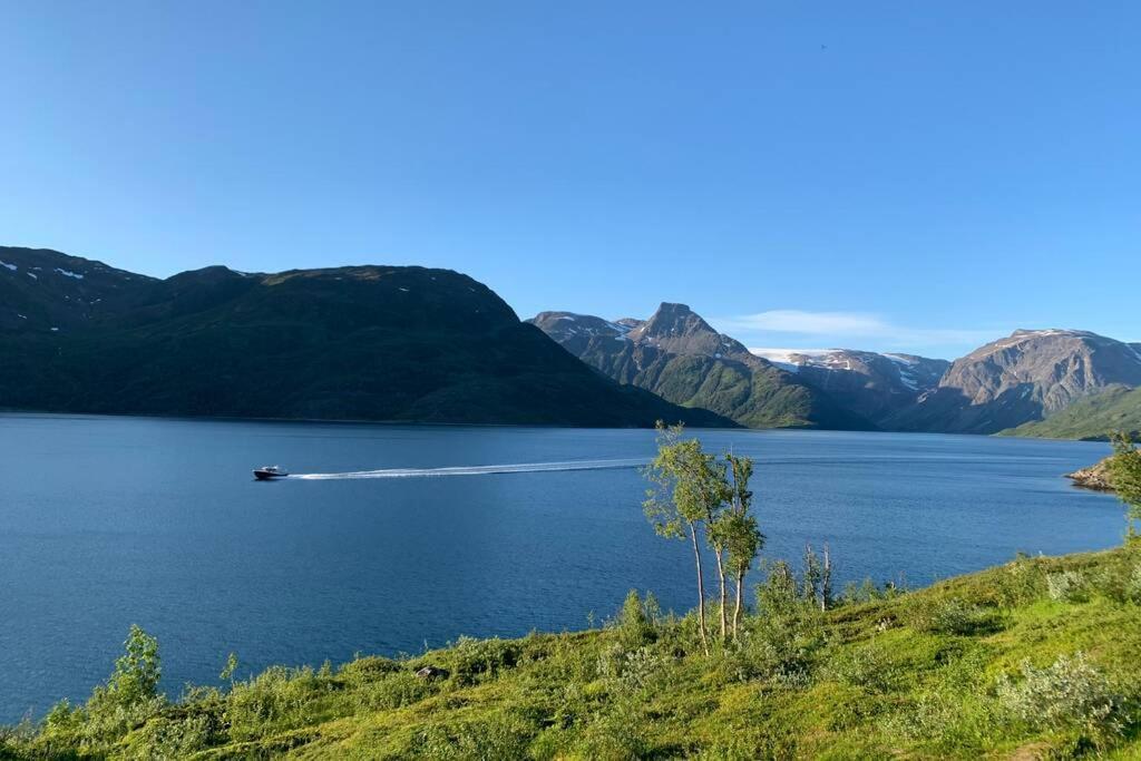 הוילה Cabin In Jokelfjord מראה חיצוני תמונה