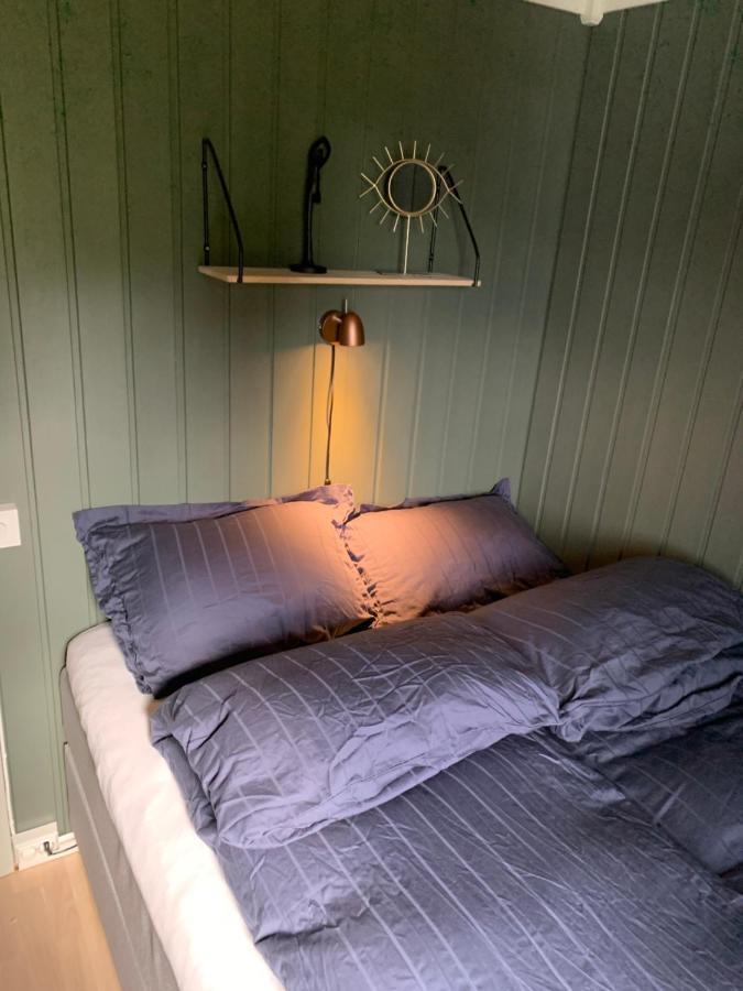 הוילה Cabin In Jokelfjord מראה חיצוני תמונה